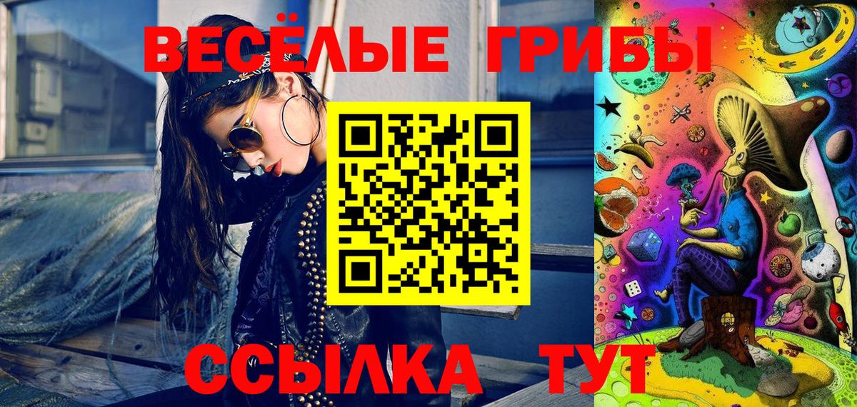 Псилоцибиновые грибы прущие грибы  Вход с VPN  Гусь-Хрустальный 